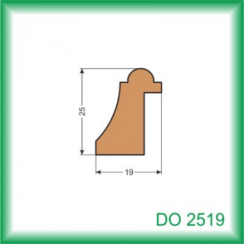 DO2519