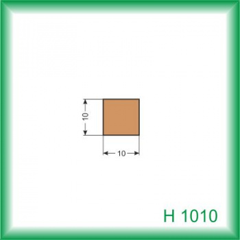H1010