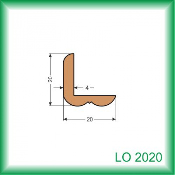 LO2020