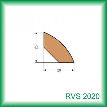 RVS2020